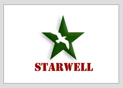 Starwell